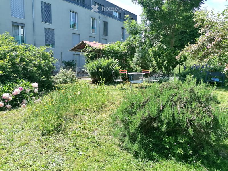 2 Zimmerwohnung in Erlach (5)