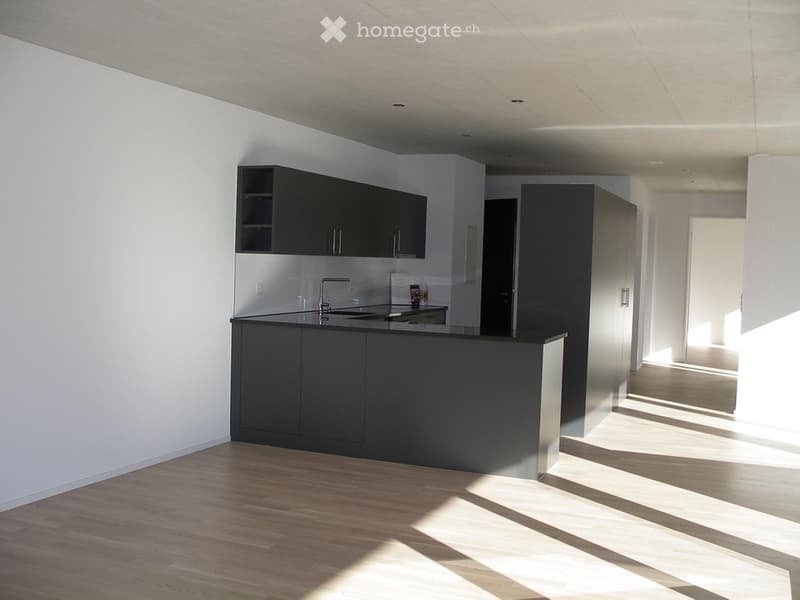 Nachmieter gesucht - moderne 3.5-Zimmer-Wohnung mit Loggia (1)