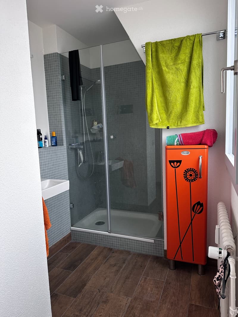 WG Zimmer in Zürich-Altstetten (3)