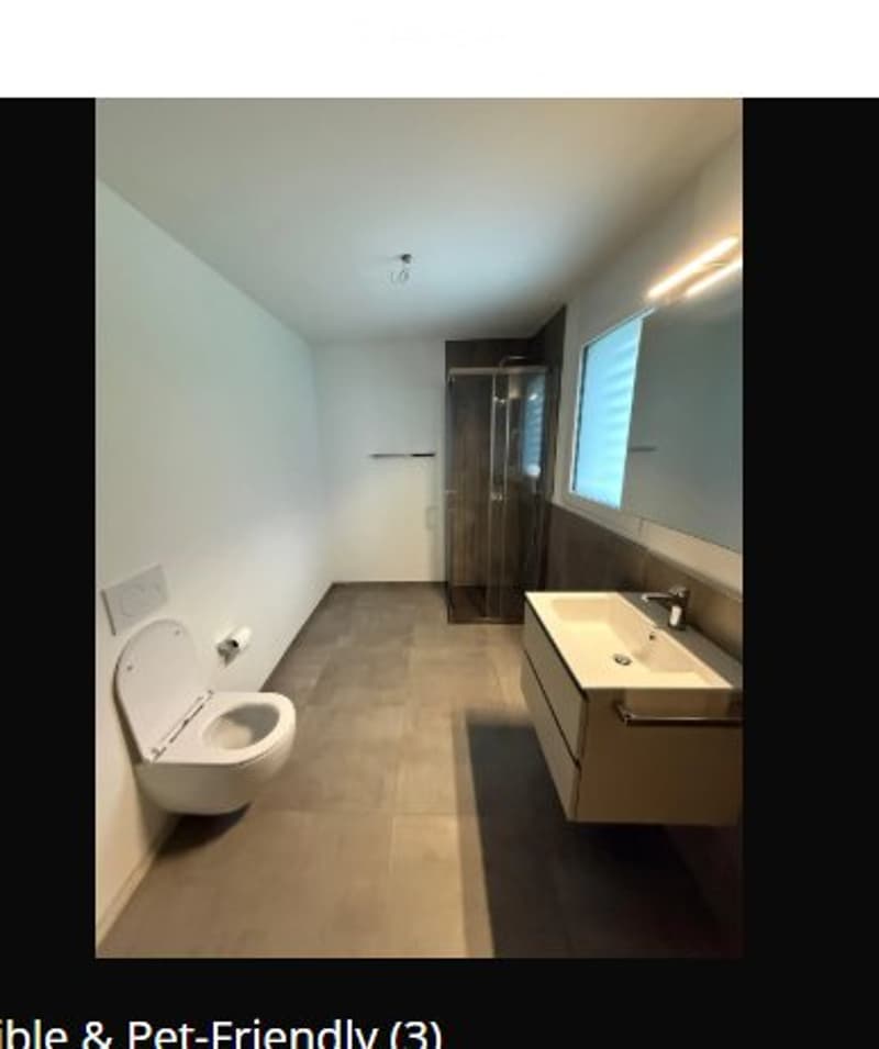 Moderne 2-Zimmer-Wohnung zu vermieten (3)