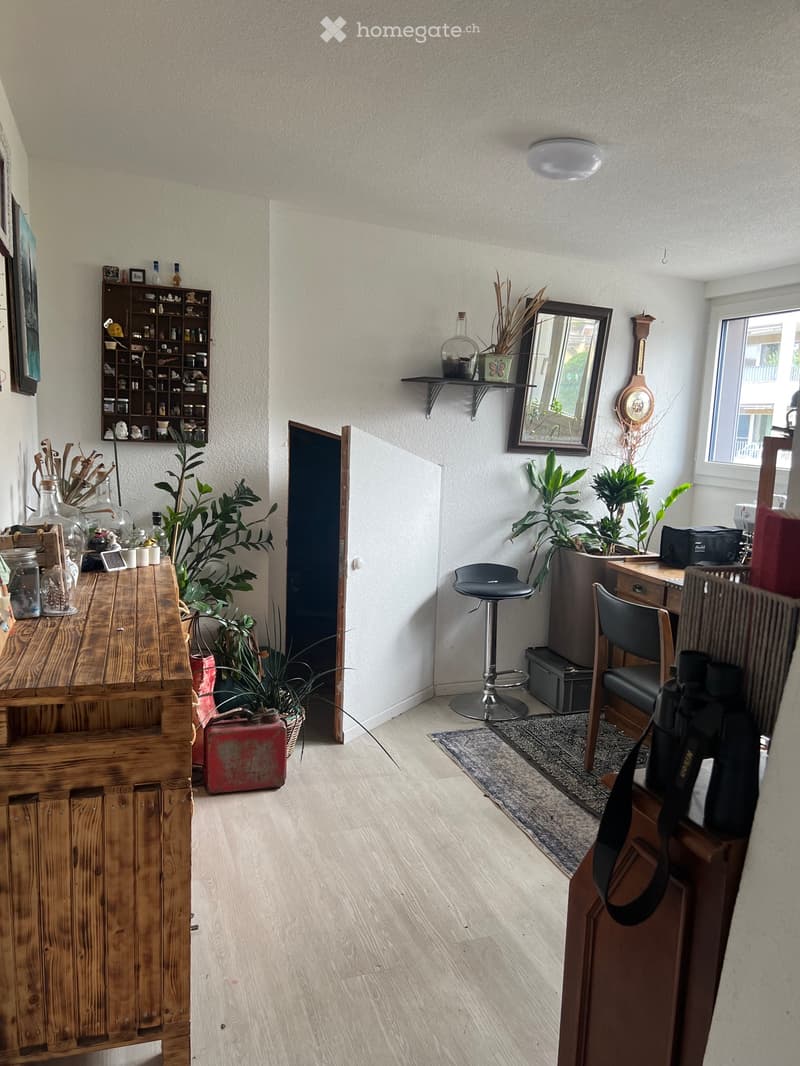 Helle ,zentral gelegene 6 ½ Zimmer Wohnung (1)