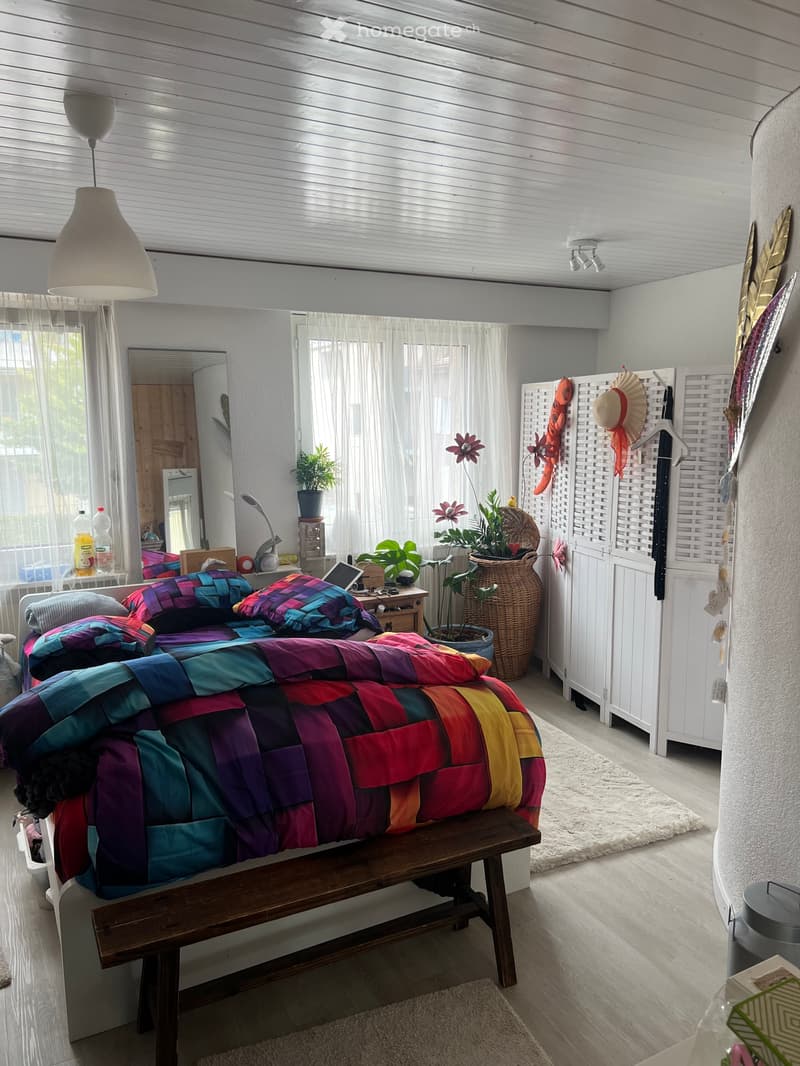 Helle ,zentral gelegene 6 ½ Zimmer Wohnung (2)