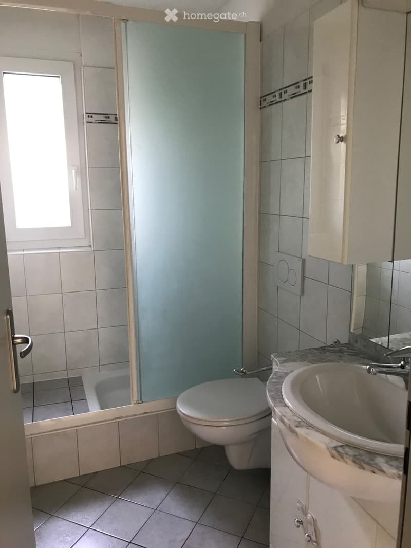 Appartamento 4.5 locali (3)