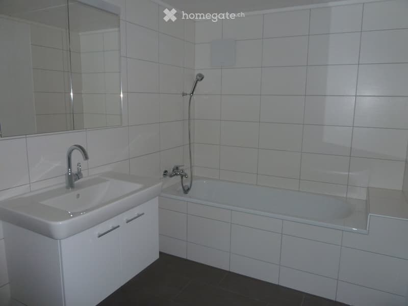 Zu vermieten 3.5 Zimmer-Wohnung (4)