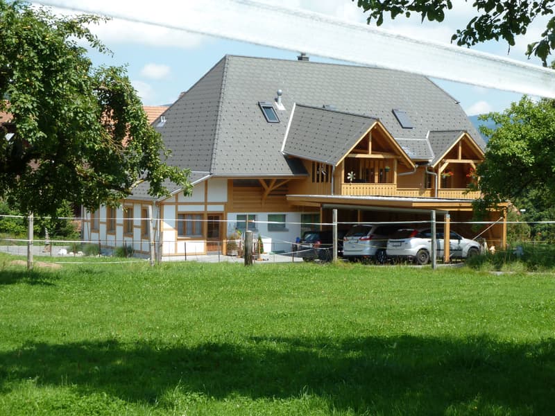 Zu vermieten 3.5 Zimmer-Wohnung (1)