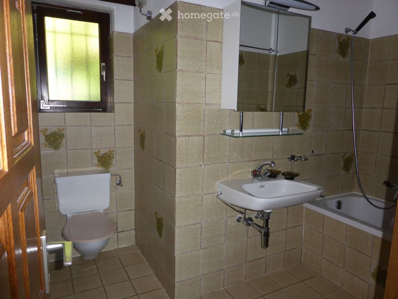Appartamento 4 1/2 Ronco s/Ascona (5)