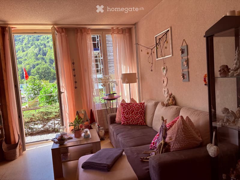 2,5 Zimmerwohnung (2)