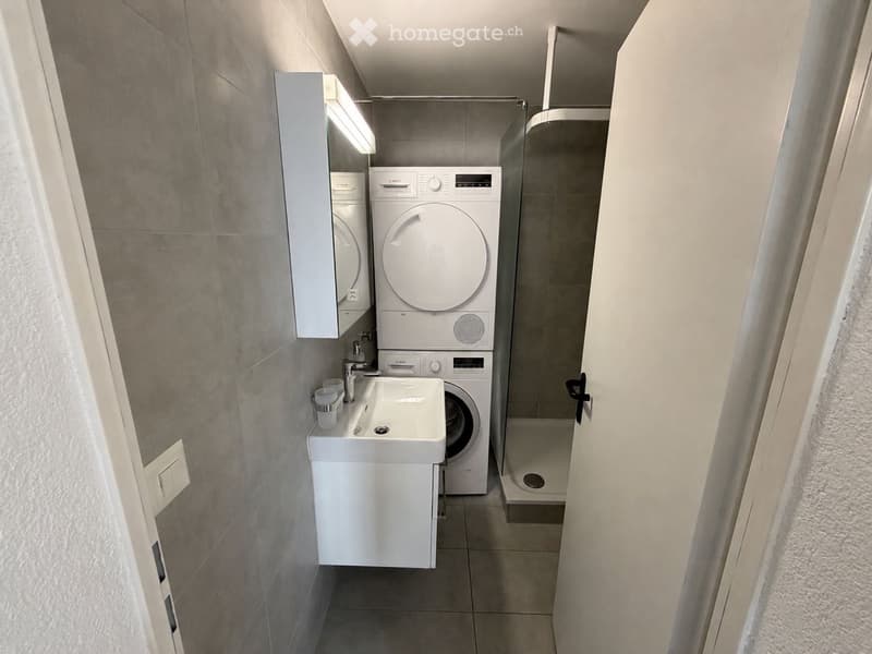 2.5-Zimmer-Wohnung mit grosser Terasse (5)