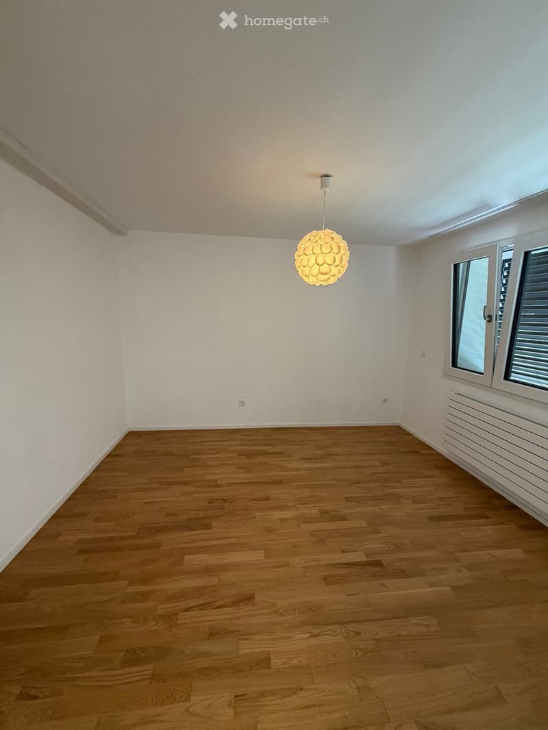 2.5-Zimmer-Wohnung mit grosser Terasse (3)