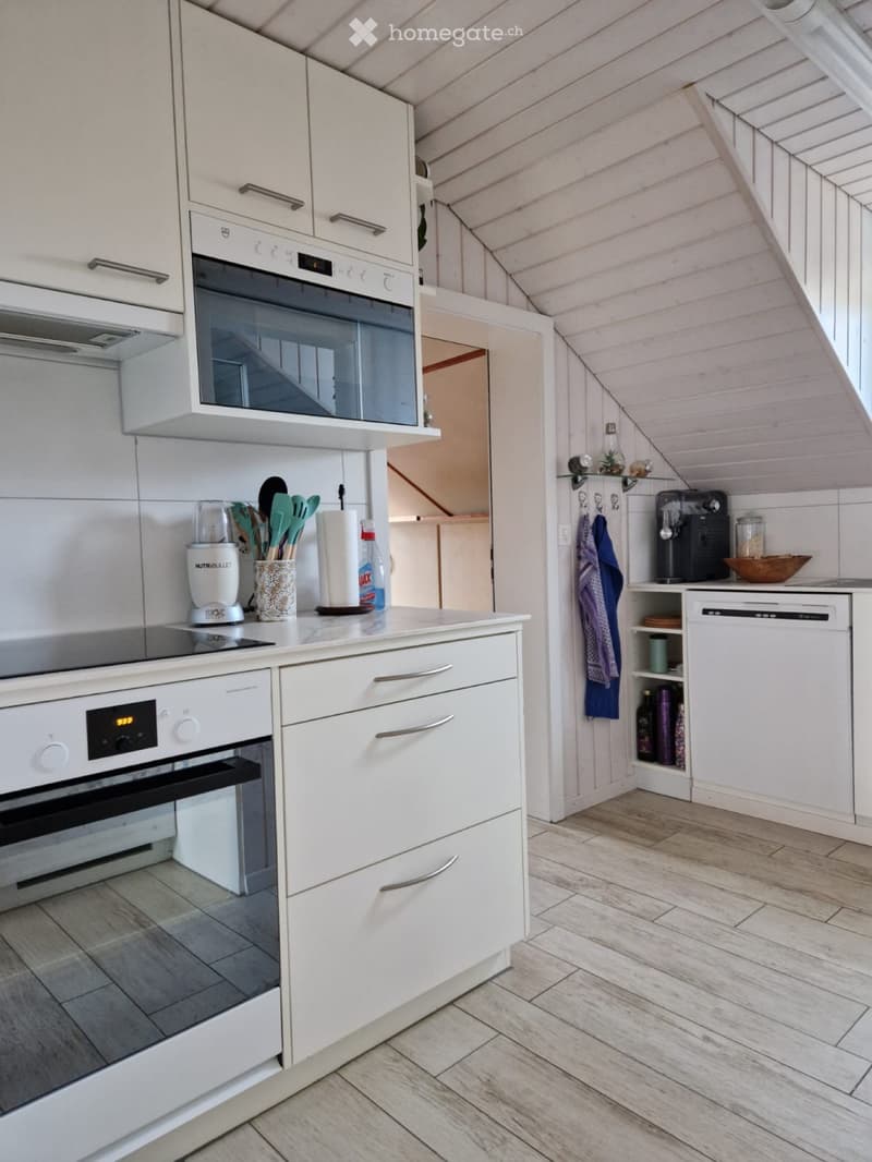 Schöne Dachwohnung (4)