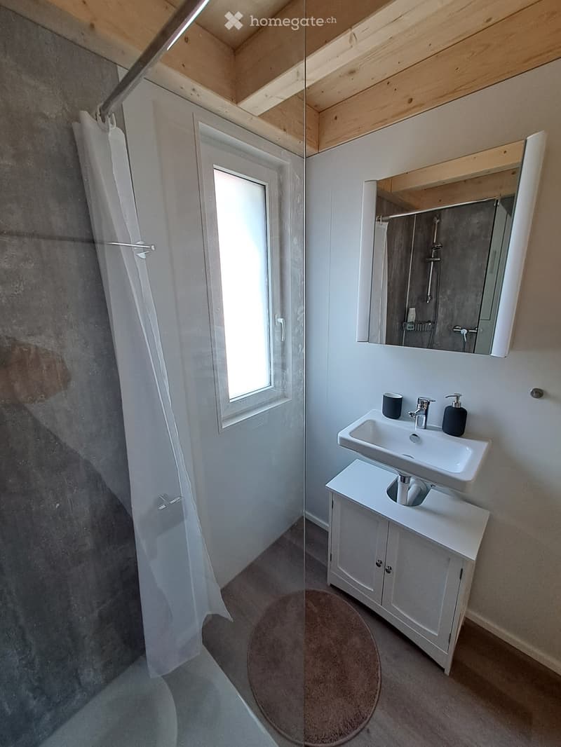 Neues Tiny House (4)