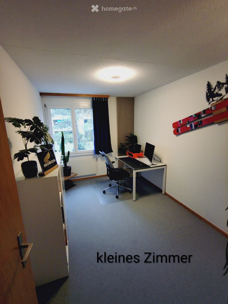 3,5 Zimmer Wohnung in Winterthur (4)