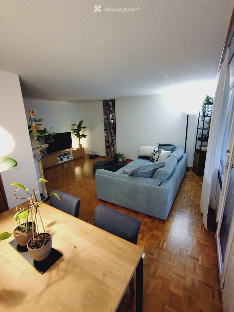 3,5 Zimmer Wohnung in Winterthur (1)