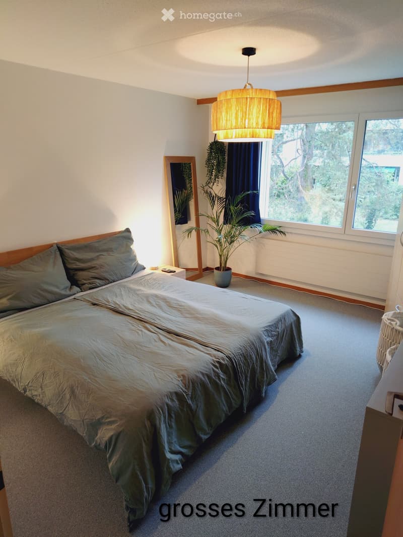 3,5 Zimmer Wohnung in Winterthur (3)