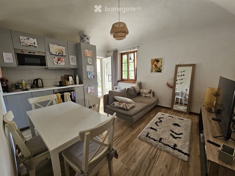 Affitto appartamento 2 locali a Ligornetto (3)