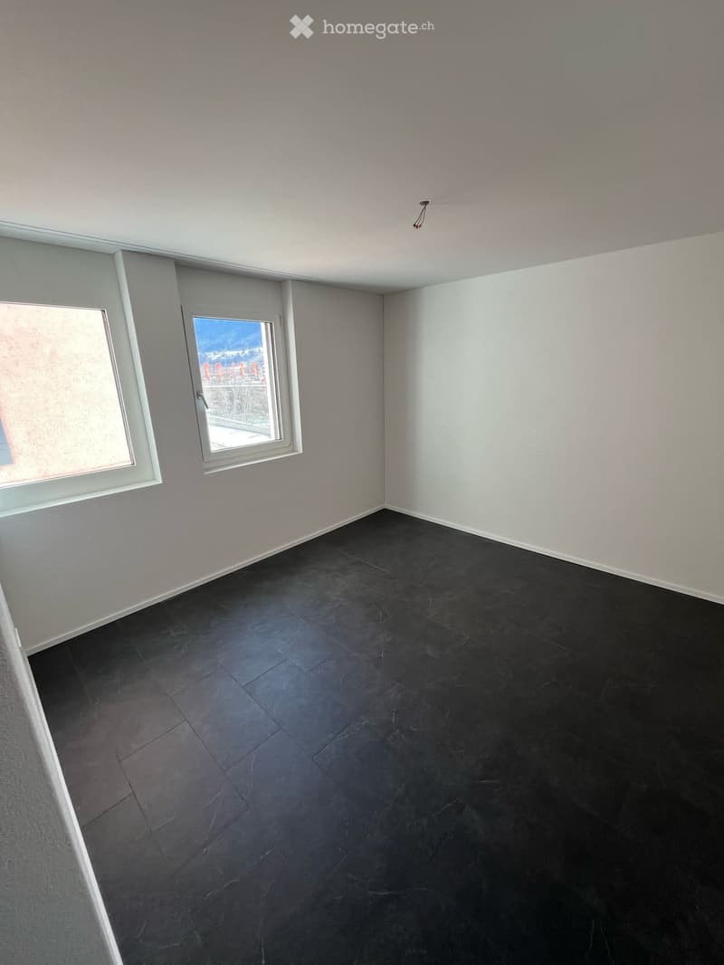 Moderne 4.5 Zimmer Wohnung in zentraler Lage (4)