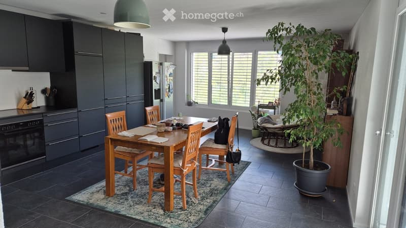 Moderne 4.5 Zimmer Wohnung in zentraler Lage (1)