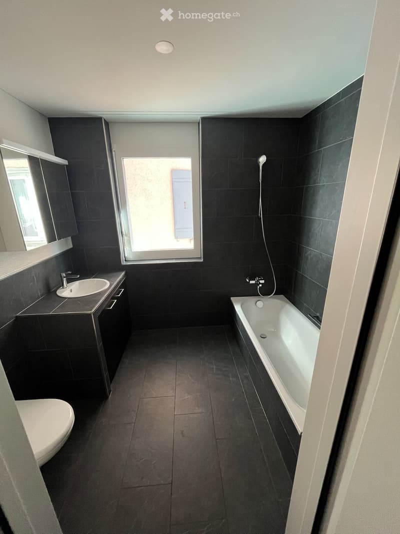 Moderne 4.5 Zimmer Wohnung in zentraler Lage (2)