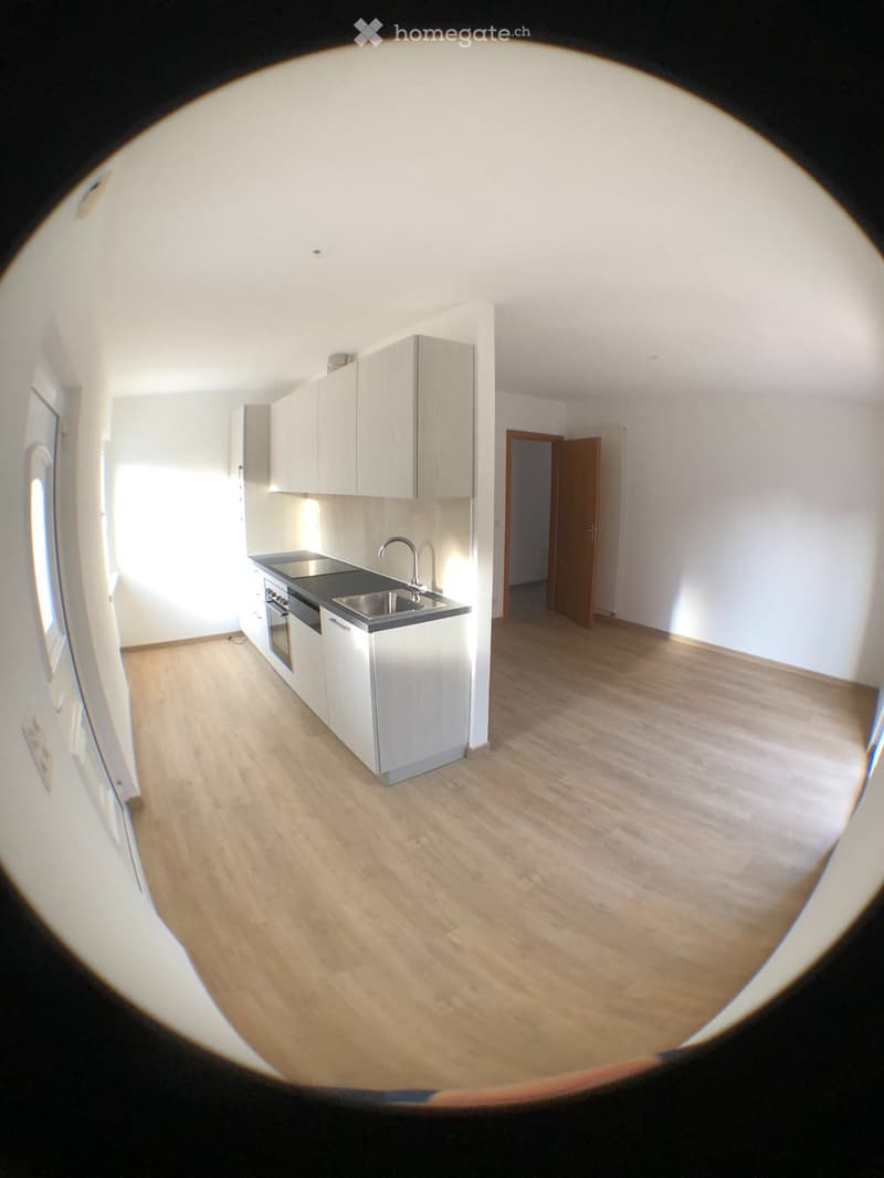 Appartamento in casa doppia (4)
