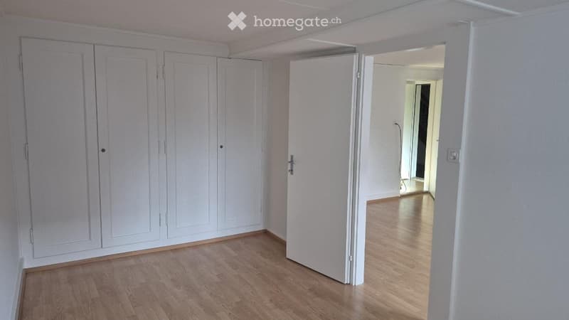 Grosse 2 1/2 Zi Whg im HEG, Wohnküche und grossem Entrée. (3)