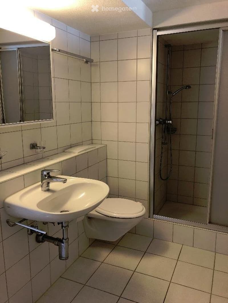 Grosse 2 1/2 Zi Whg im HEG, Wohnküche und grossem Entrée. (4)