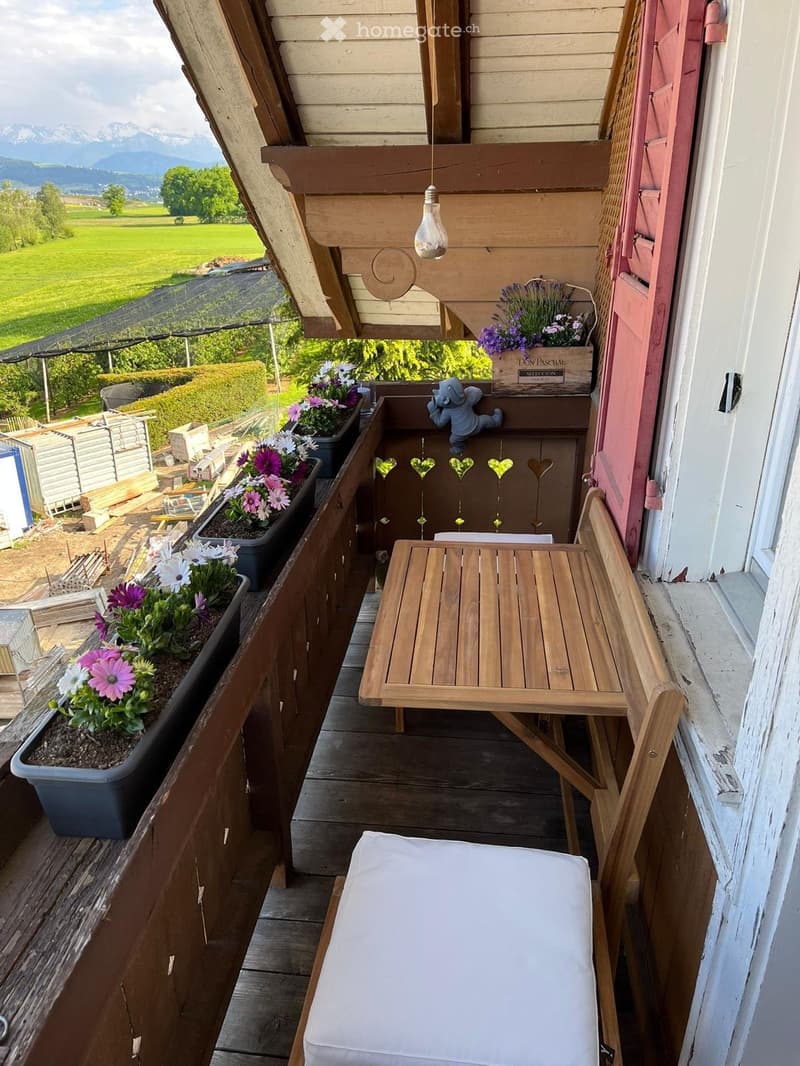 2 Zimmer Wohnung Ballwil (5)