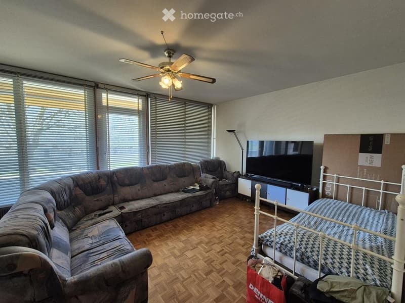 Charmant appartement de 4 pièces avec balcon à Meyrin (1)