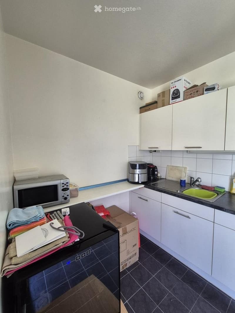 Charmant appartement de 4 pièces avec balcon à Meyrin (3)
