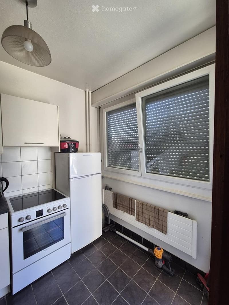 Charmant appartement de 4 pièces avec balcon à Meyrin (4)