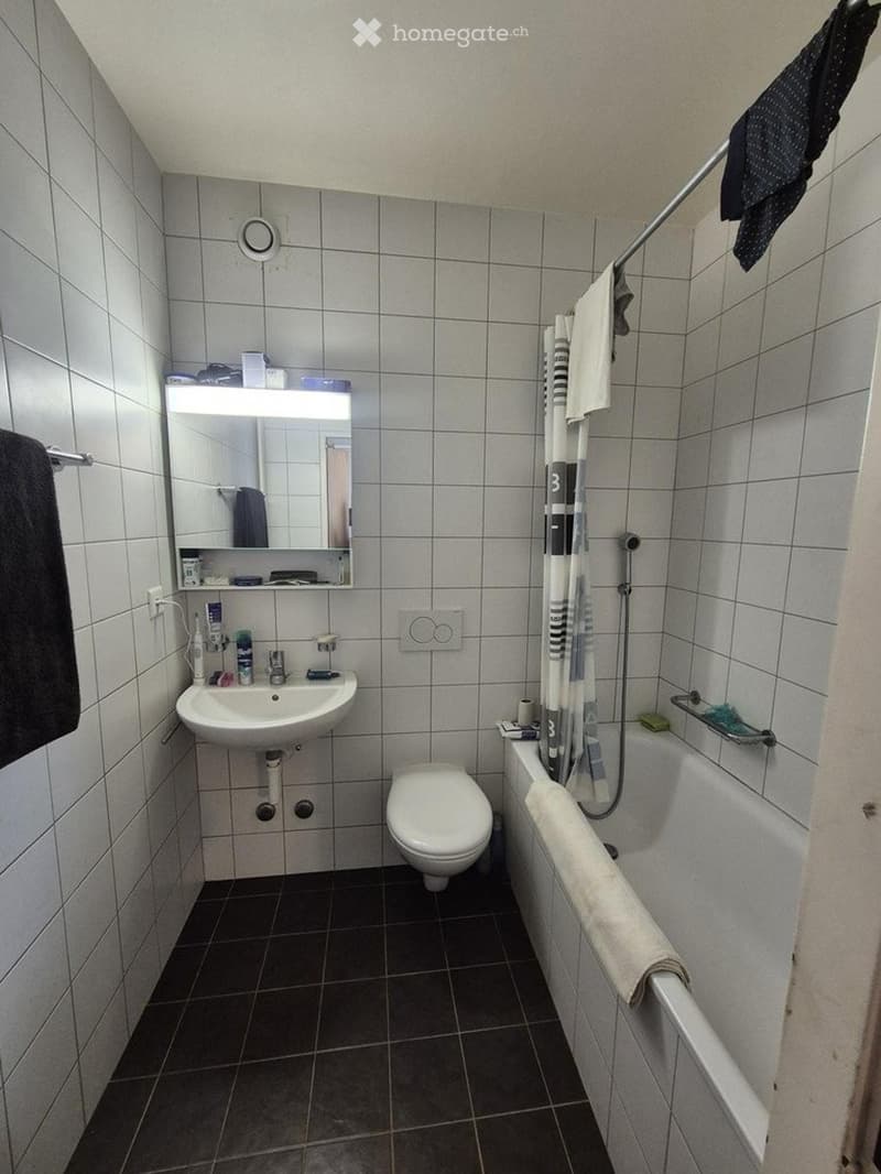 Charmant appartement de 4 pièces avec balcon à Meyrin (2)