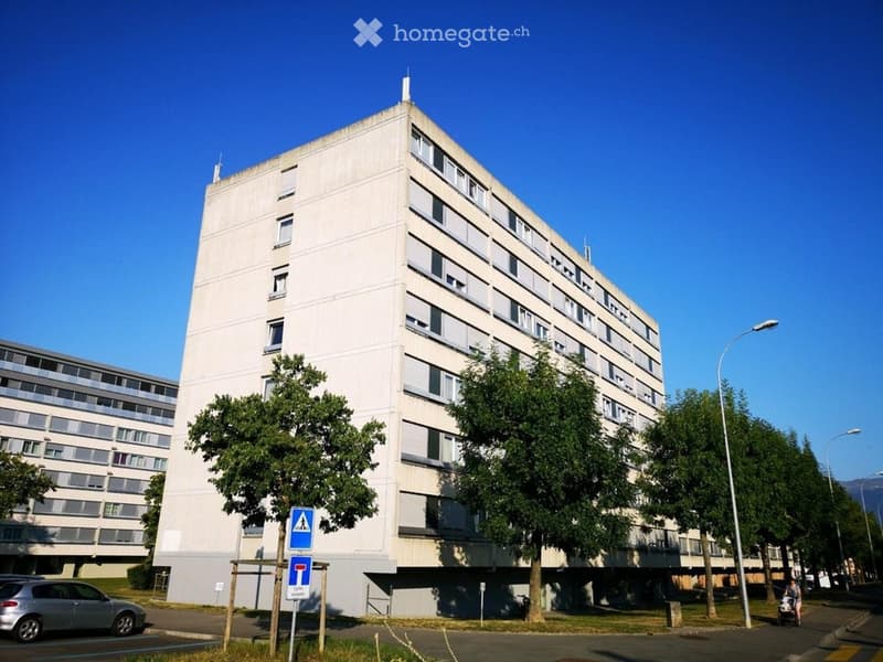 Charmant appartement de 4 pièces avec balcon à Meyrin (5)