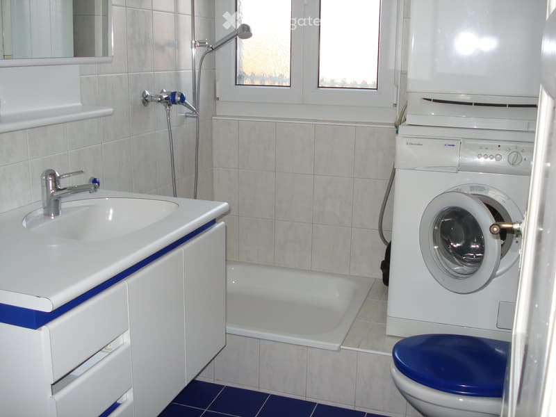günstige 3.5 Zimmer Wohnung an zentraler Lage in Lyss (3)