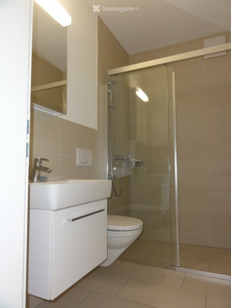 Vermiete schöne 2 Zimmer Wohnung (4)