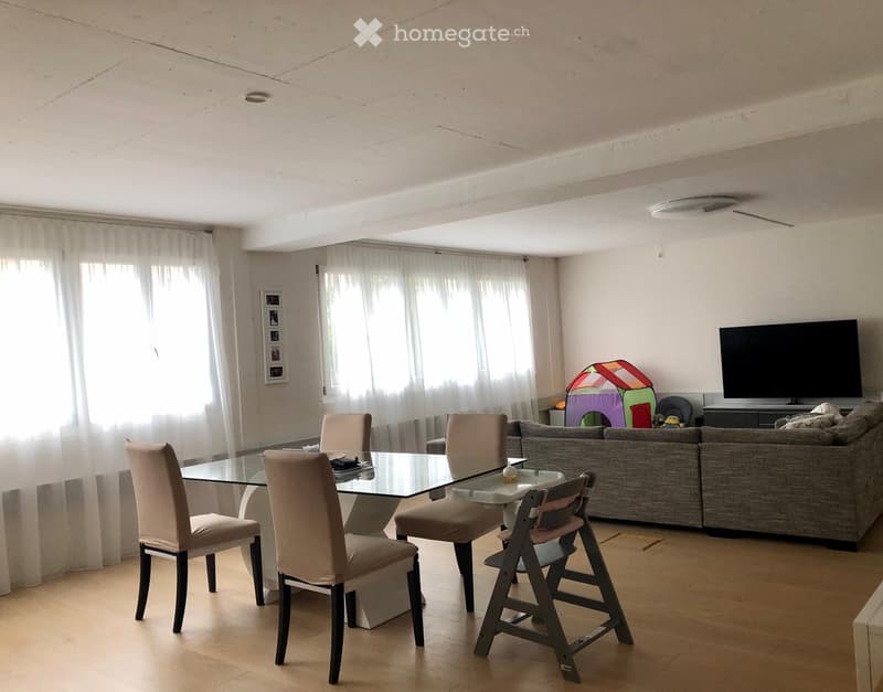 Loft Wohnung zu vermieten (2)