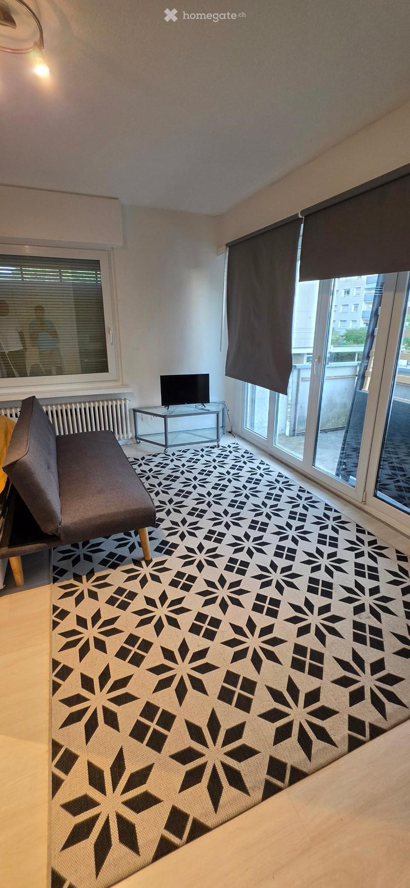 1.5-Zimmer-Apartments in Dietikon (5)