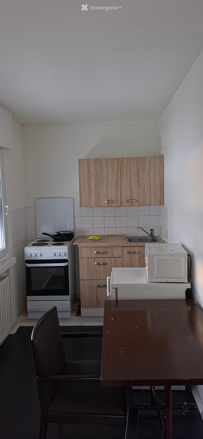 1.5-Zimmer-Apartments in Dietikon (3)