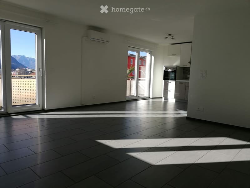 Luminoso appartamento 4.5 locali con giardino comune (2)