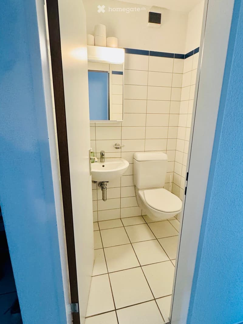 Möblierte, helle 3.5 Zimmer Wohnung in Baden-Dättwil (5)