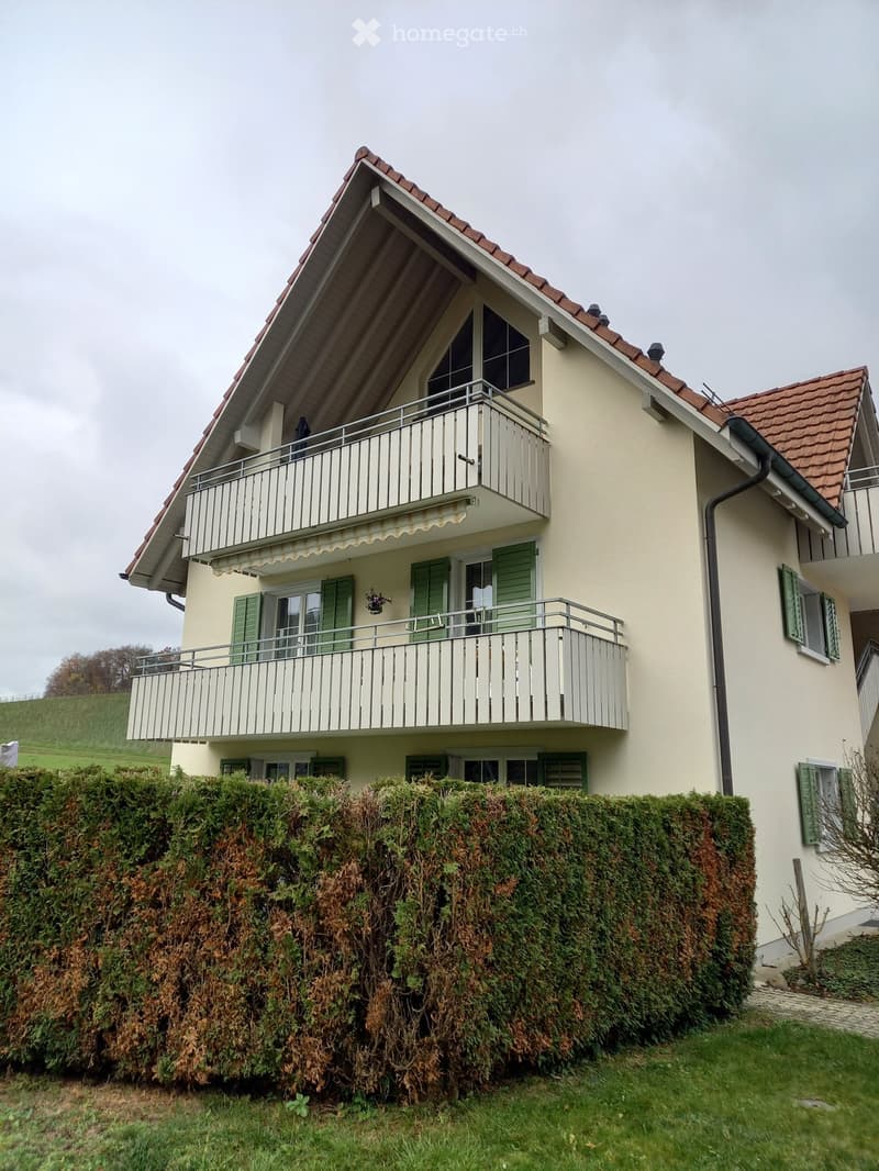 grosszügige Dach-Maisonette-Wohnung mit Balkon (36 m2) (1)