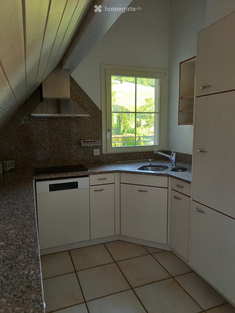 grosszügige Dach-Maisonette-Wohnung mit Balkon (36 m2) (2)
