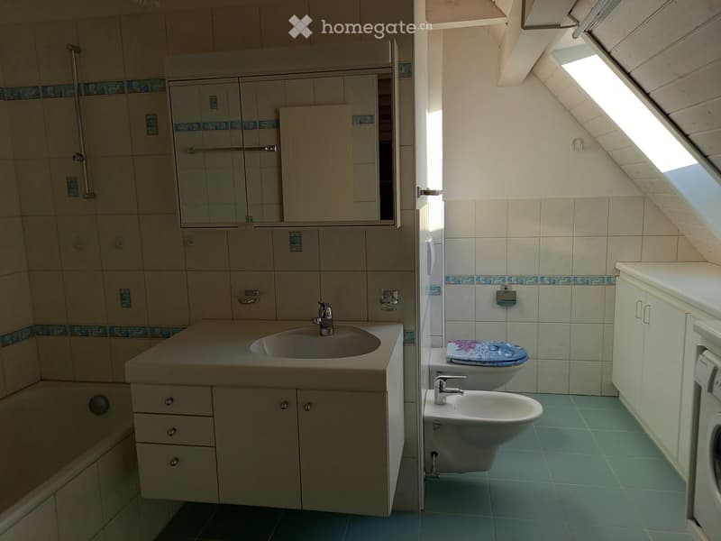 grosszügige Dach-Maisonette-Wohnung mit Balkon (36 m2) (3)