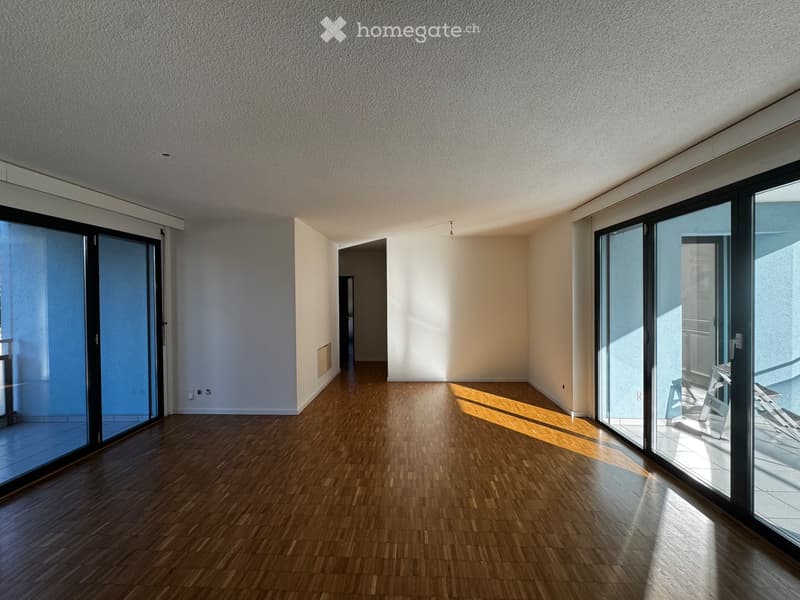 Ampio appartamento a pochi minuti dal centro di Bellinzona (2)