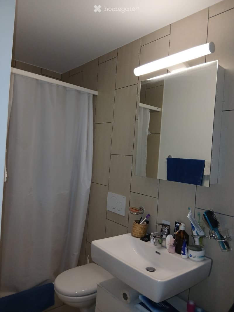 2.5 Dachwohnung in Habsburg (5)