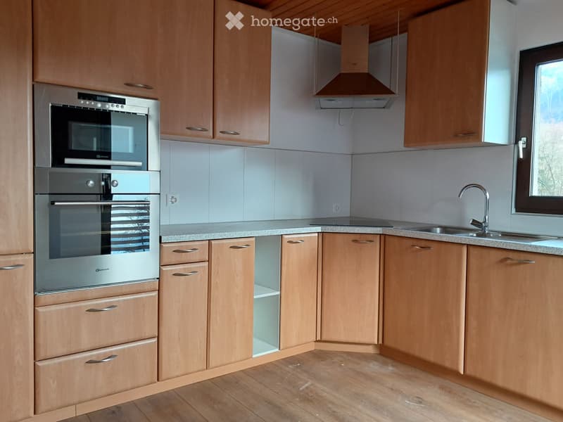 Grosszügige Wohnung im Grünen (3)