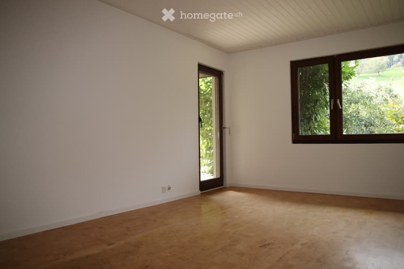 Grosszügige Wohnung im Grünen (5)