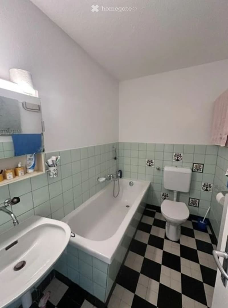 Charmante 3-Zimmer-Wohnung in Schaffhausen (5)