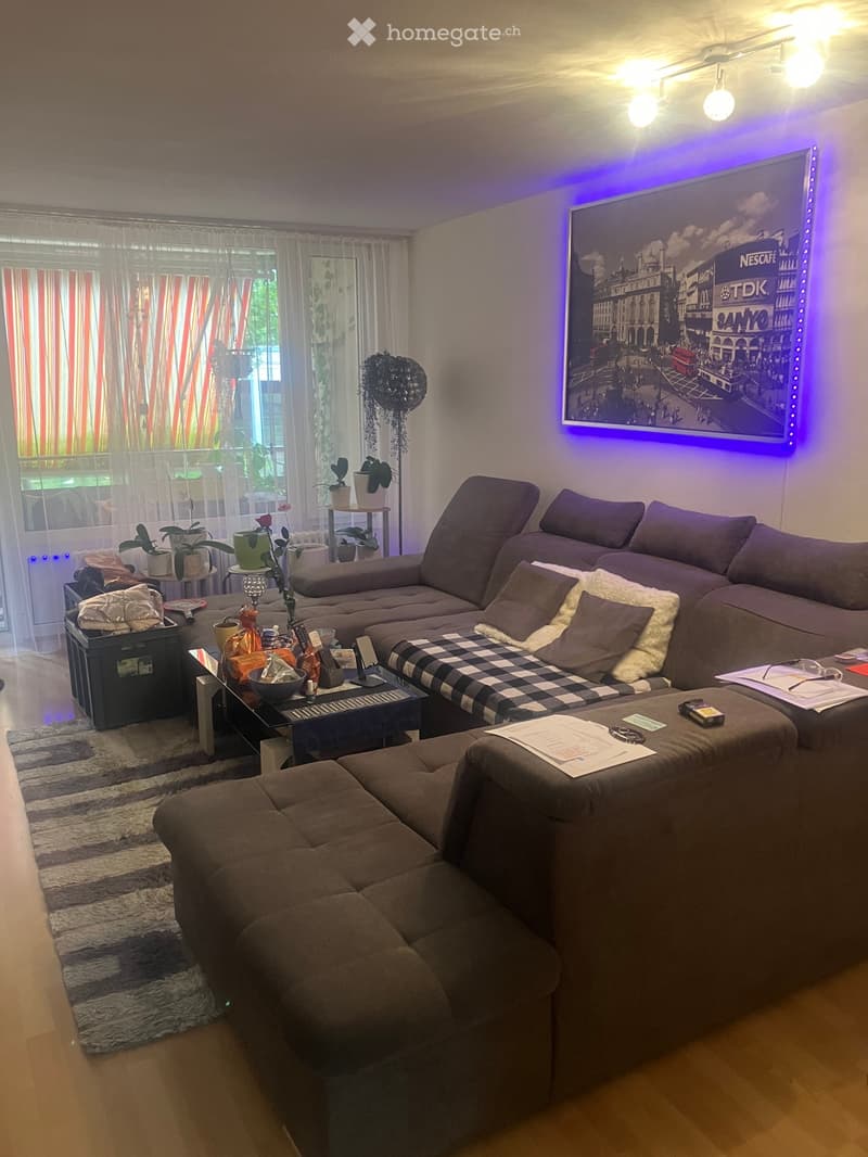 Nachmieter gesucht: 4 Zi- Wohnung inDulliken ab 1.02.2027 (1)