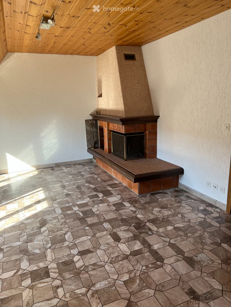 Traumhaft&Gemutliche 3,5 ZW in 3FH, Zofingen (3)