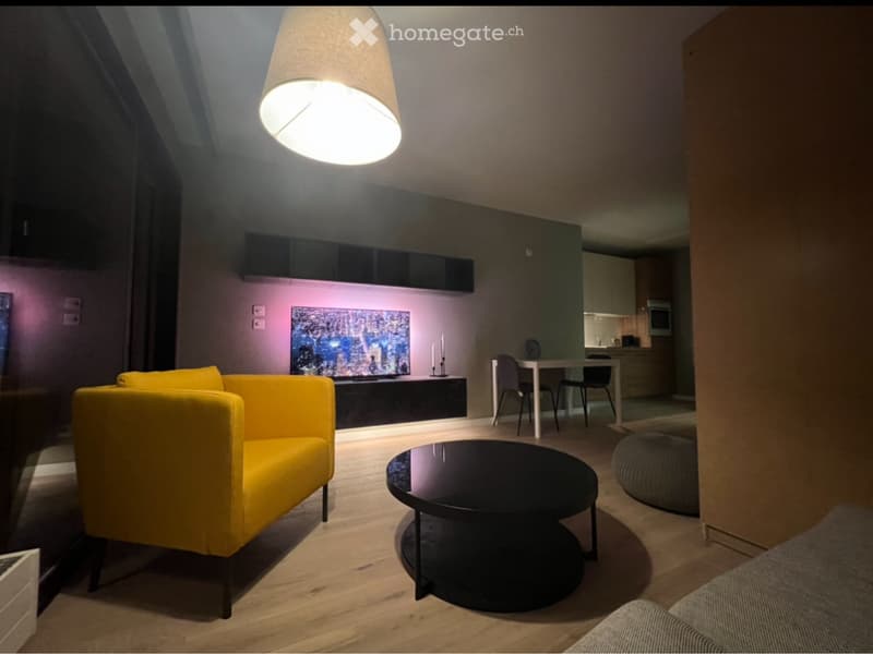 Monolocale Arredato Ready to live (3)