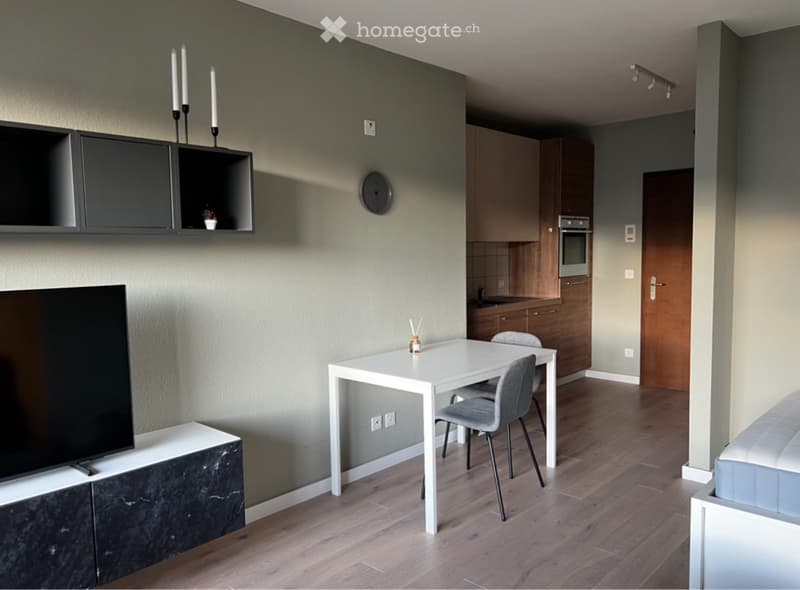 Monolocale Arredato Ready to live (5)